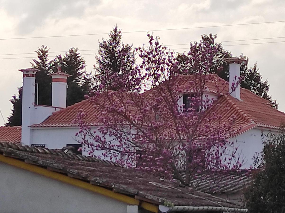 Apartmán Quinta Do Gestal - Soutelo Vila Verde  Exteriér fotografie
