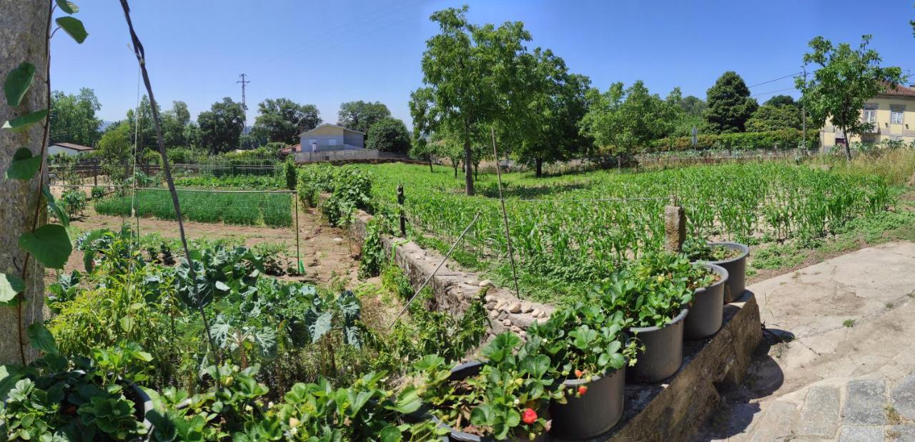 Apartmán Quinta Do Gestal - Soutelo Vila Verde  Exteriér fotografie